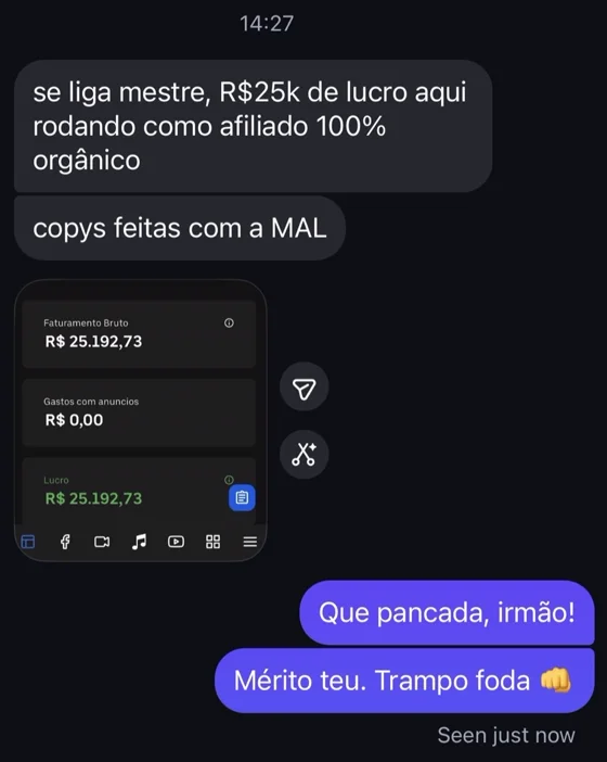 Print de WhatsApp: R$25 mil de lucro como afiliado 100% orgânico com copys feitas com a MAL
