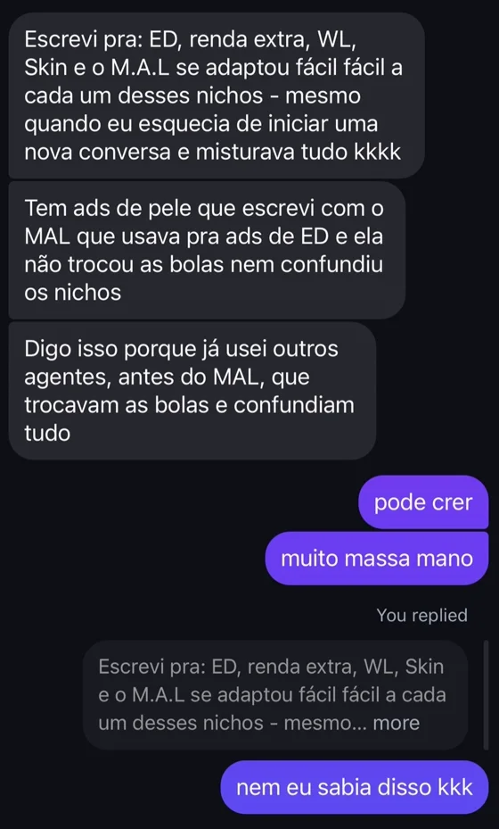 Print de mensagem: MAL se adaptou fácil a nichos de ED, renda extra, WL e Skin